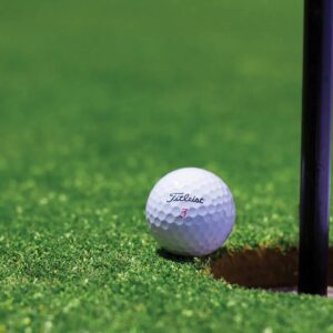 A golf ball is on the green near a hole.